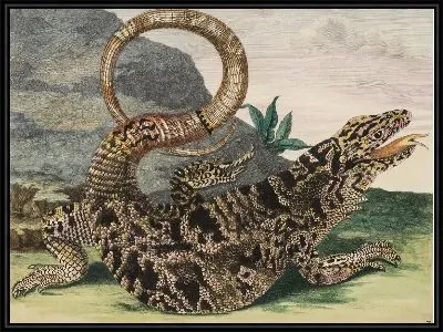 Табличка 70 из диссертации "поколения насекомых и метаморфозы в Суринам