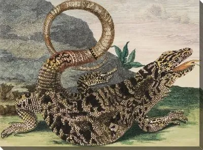 Табличка 70 из диссертации "поколения насекомых и метаморфозы в Суринам