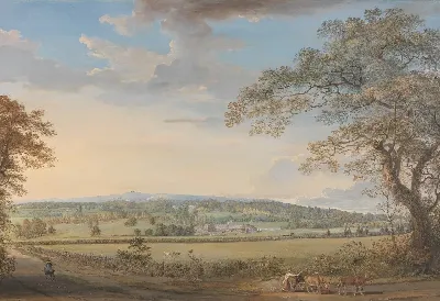 шаблон id 38