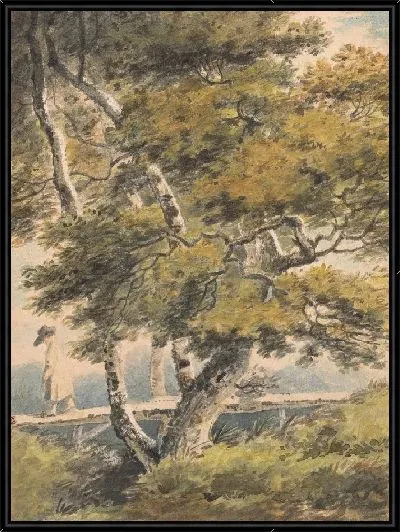 Картина Деревья с человеком, пересекающим пешеходный мост 