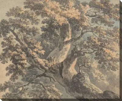 Картина Изучение дерева 