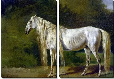 Картина Белая лошадь (White Horse)