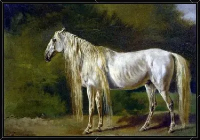 Картина Белая лошадь (White Horse)