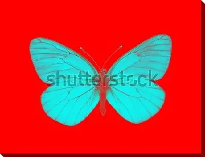 Бабочка №16