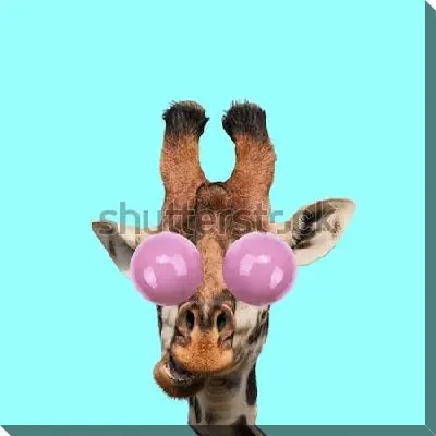 Постер Жираф  №3