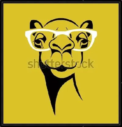 Картина Смешной верблюд в очках