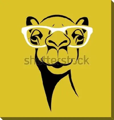 Смешной верблюд в очках