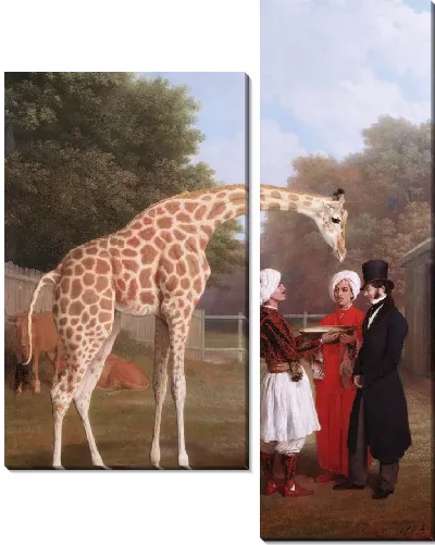 Картина Нубийский жираф