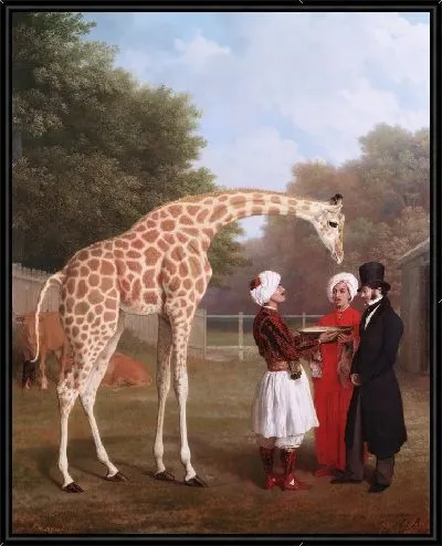 Картина Нубийский жираф