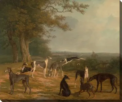 Девять борзых в пейзаже