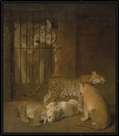 Группа детенышей, выведенных между львом и тигрицей