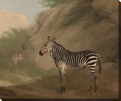 Картина Зебра №10