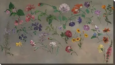 Изучение цветов