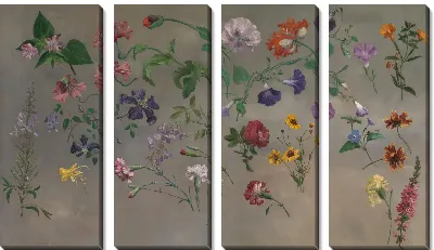 Изучение цветов