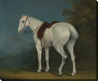 Леди серый охотник