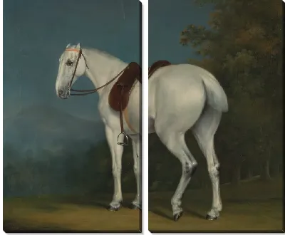 Леди серый охотник