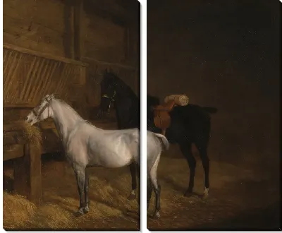 Серый пони и черный конь в конюшне