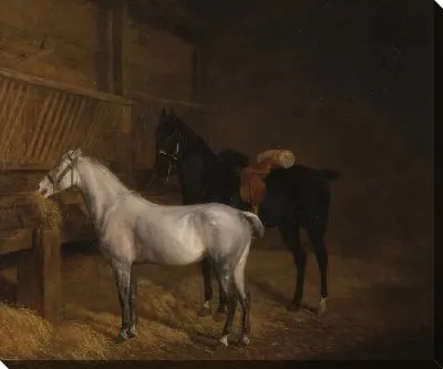 Серый пони и черный конь в конюшне