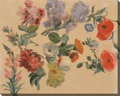 Картина Этюды летних цветов