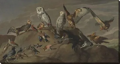 Картина Изучение птиц