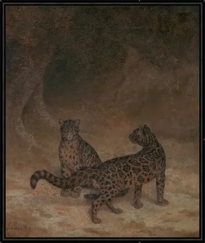 Дымчатые леопарды