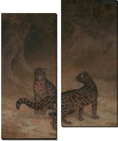 Дымчатые леопарды