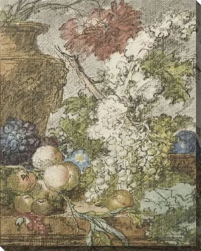 Картина Эскиз для натюрморта из фруктов и цветов