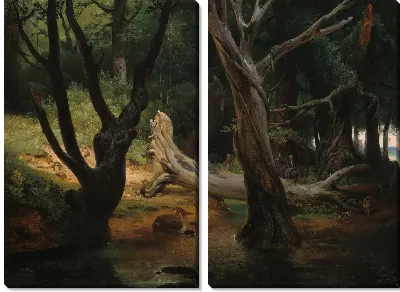 Выезд на охоту в Понтийские болота