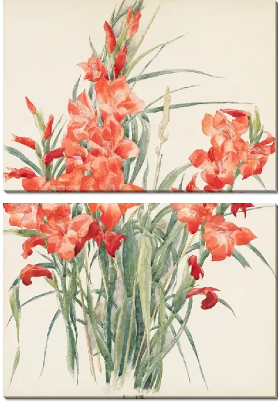 Картина Красные Гладиолусы