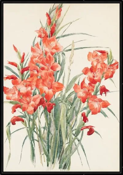Картина Красные Гладиолусы