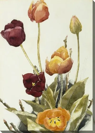 Картина Тюльпаны №8