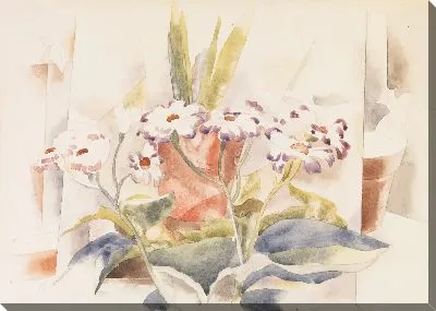 Картина Цинерария