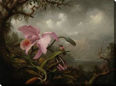 Орхидея и Колибри