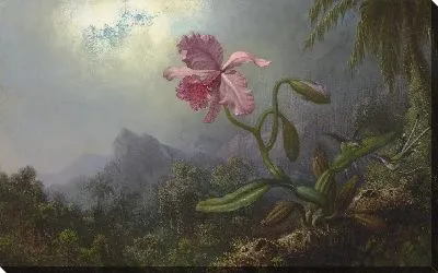 Две Колибри с орхидеей