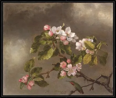 Колибри и яблоневый цвет