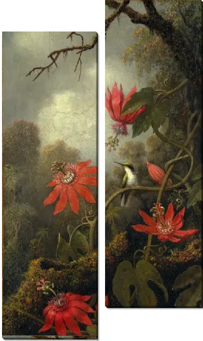 Картина Колибри и пассифлоры