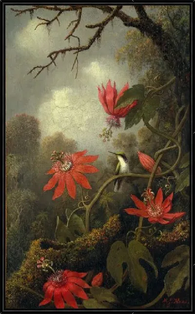 Картина Колибри и пассифлоры