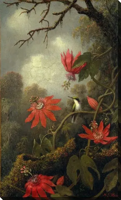 Картина Колибри и пассифлоры