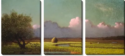 Картина Солнечный свет и тень: болота Ньюбери