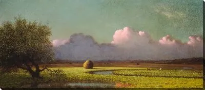 Картина Солнечный свет и тень: болота Ньюбери