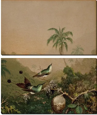 Бразильские Колибри II