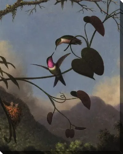 Картина Аметист Вудстар