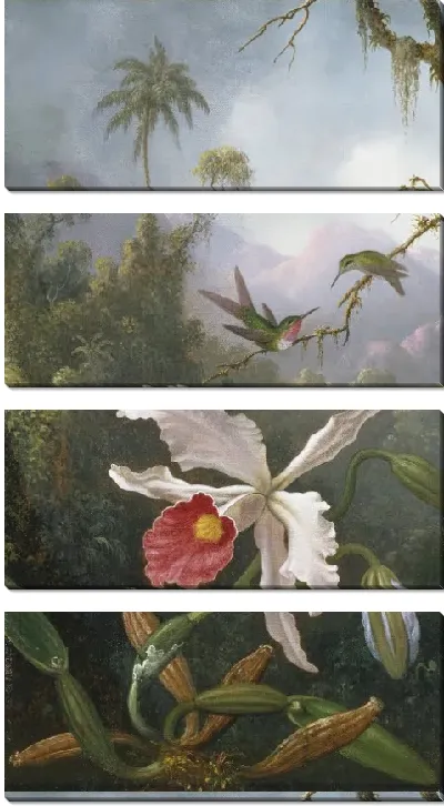 Картина Два колибри над белой орхидеей