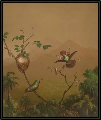 Бразильские Колибри IV