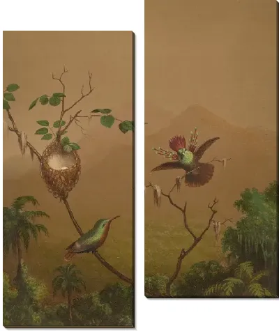 Бразильские Колибри IV