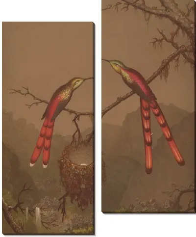 Картина Бразильские Колибри I