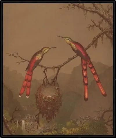 Картина Бразильские Колибри I