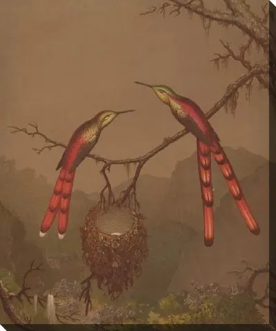 Картина Бразильские Колибри I