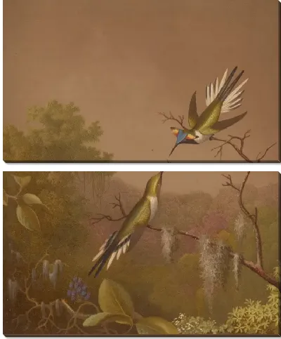 Картина Бразильские Колибри II