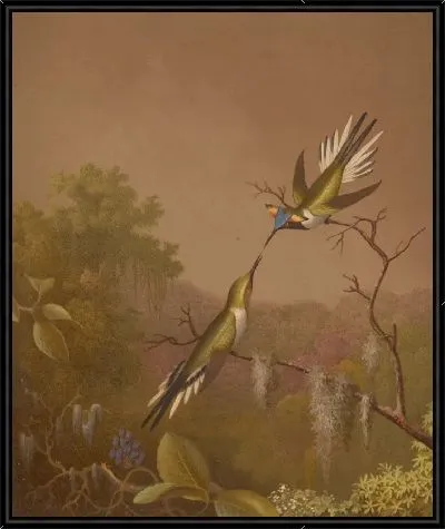 Картина Бразильские Колибри II